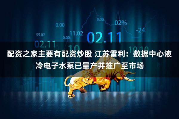 配资之家主要有配资炒股 江苏雷利：数据中心液冷电子水泵已量产并推广至市场
