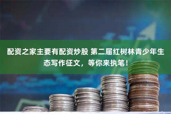 配资之家主要有配资炒股 第二届红树林青少年生态写作征文,等你来执笔!