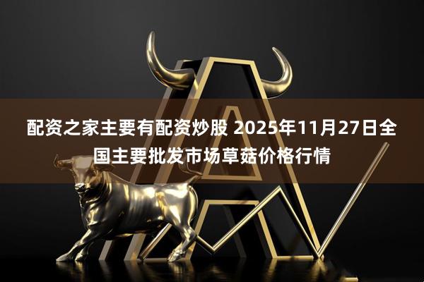 配资之家主要有配资炒股 2025年11月27日全国主要批发市场草菇价格行情